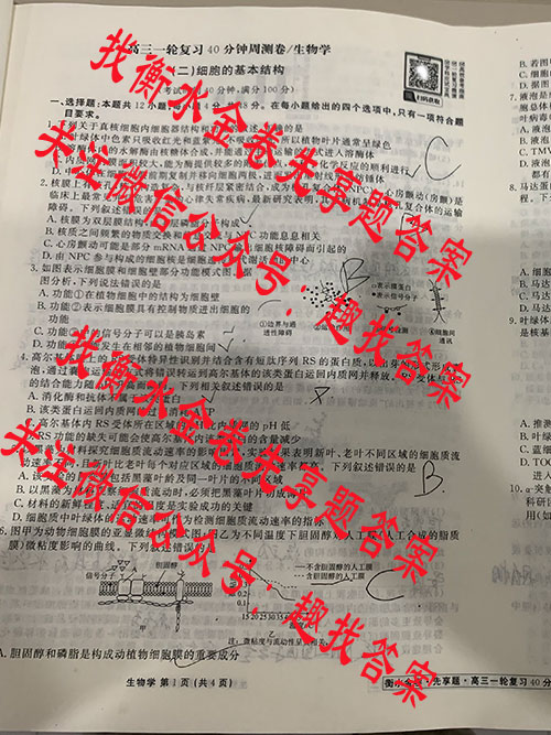 衡水金卷先享题2025-2026高三一轮复习40分钟周测卷/生物学Q(二)2试题答案-衡水金卷先享题2025-2026答案网